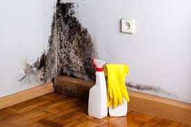 Trusted Anahuac, TX Mold Remediation Experts